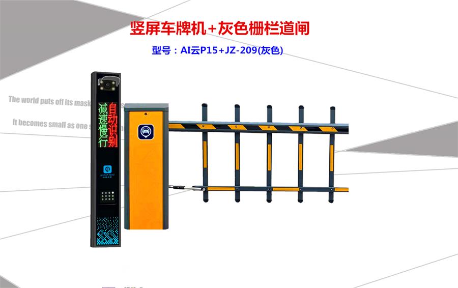 AI������+209��ɫդ��